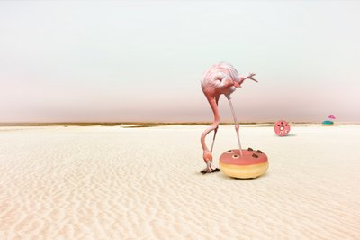 Pink Flamingo Donut Dream av Christine von Diepenbroek