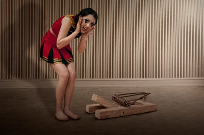Den rädda cheerleaderns fälla av Christine von Diepenbroek