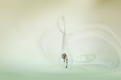Den fantasifulla bubbeldansaren av Christine von Diepenbroek