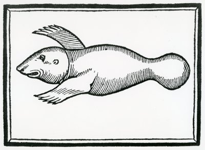 En fisk kallad "Manati" från "la Historia general de las Indias" 1547 av Christopher Columbus