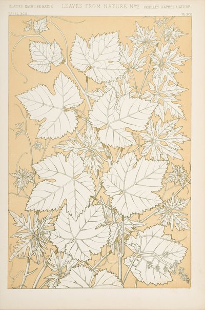 Löv från naturen, 1868 (chromolitho) av Christopher Dresser