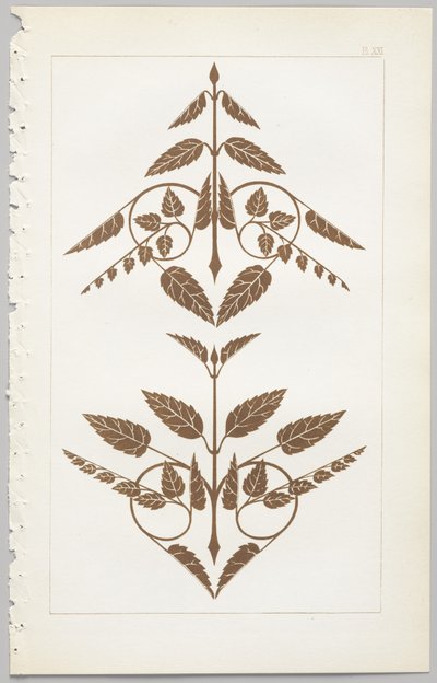 Konsten att dekorativ design: med en bilaga, som visar de timmar på dygnet då blommor öppnar, publicerad av Day & Son, London, 1862 av Christopher Dresser