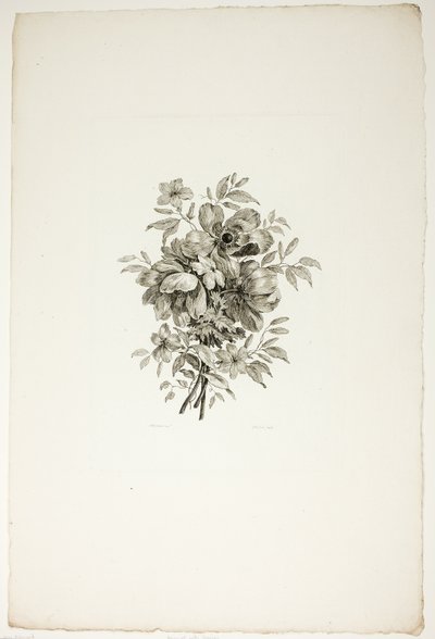 Bukett med vallmo, från en samling av olika blombuketter, uppfunnen och ritad av Jean Pillement och graverad av P. C. Canot av Christopher Norton