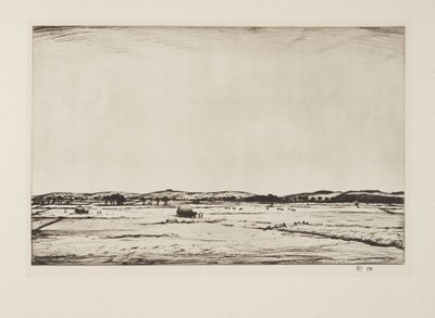Sussex Downs, pub.1926 (etsning) av Christopher Richard Wynne Nevinson