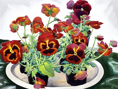 Penséer, 2018 (akvarell på papper) av Christopher Ryland