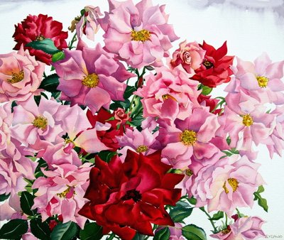 Röda och rosa rosor, 2008 (wc på papper) av Christopher Ryland