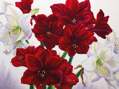 Röd och vit amaryllis, 2008 (wc på papper) av Christopher Ryland