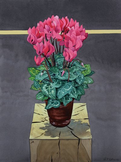 Stilleben Cyclamen (akvarell på papper) av Christopher Ryland