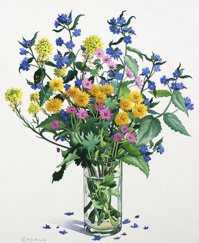 Vilda blommor med Alkanet, 2021 (akvarell på papper) av Christopher Ryland