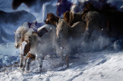Eteriska vildhästar av Chuanxu Ren