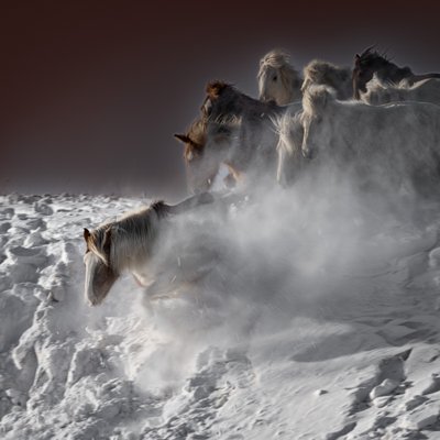 Galopperande snöhästar av Chuanxu Ren