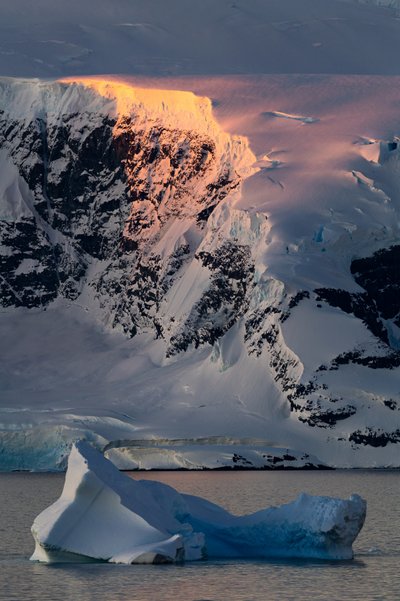 Golden Antarctic Peak av Chuanxu Ren