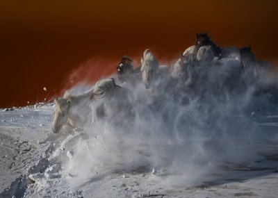 White Horses Blizzard av Chuanxu Ren