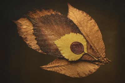  av Cicek Kiral