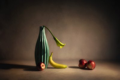 Moody – frukt och blommor av Cicy Chen