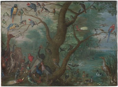 Konsert av fåglar av Circle of Jan van Kessel the Elder