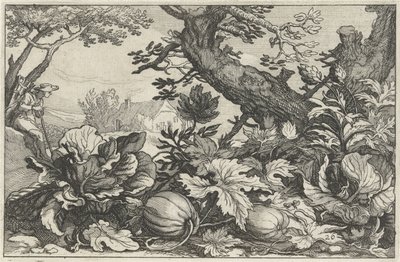 swedish av Claes Jansz. Visscher (II)