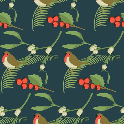 Jul Robin av Claire Huntley