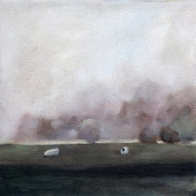 Får på en lugn äng av Claire Whitehead