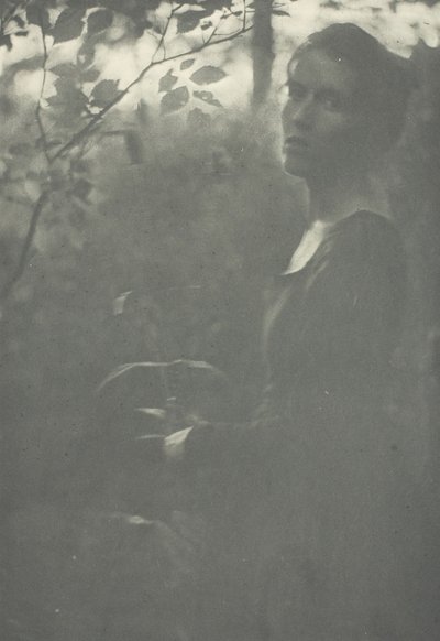 Edge of Woods, ca. 1899. av Clarence H White
