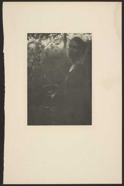 [Edge of the Woods -- Evening] av Clarence H. White