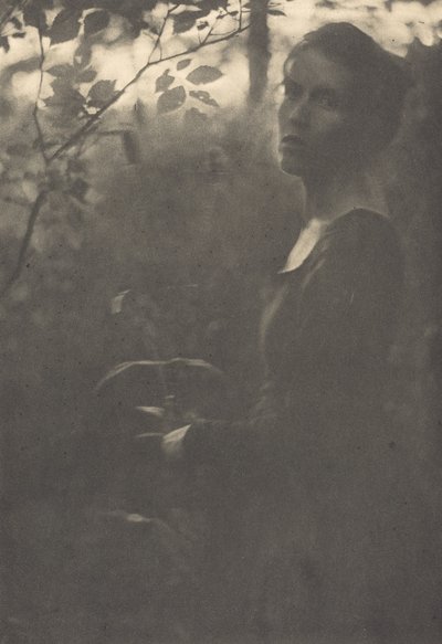 Edge of the Woods, kväll, 1900. av Clarence H White