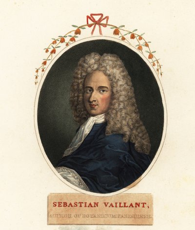 Porträtt av Sebastian Vaillant, fransk botaniker av Claude Aubriet