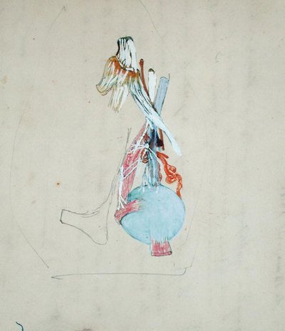 Nervsystemet i huvudet på en katt, 25 maj 1842 (penna och akvarell på papper) av Claude Bernard
