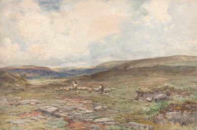 Moorland med får och herde av Claude Hayes