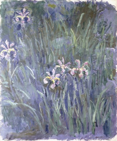 Iris, ca 1914-1917 av Claude Monet