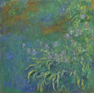Iris av Claude Monet