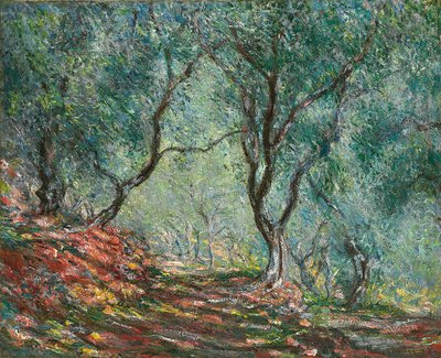 Olivträd i Moreno-trädgården; Olivlund i Moreno-trädgården, 1884 av Claude Monet