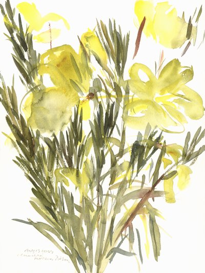 Jätteljus; 2004 (akvarell) av Claudia Hutchins Puechavy