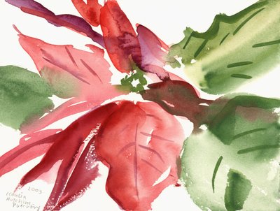 Julstjärna, 2003 (akvarell) av Claudia Hutchins Puechavy