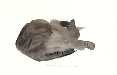 Sovande katt, 1985 (akvarell) av Claudia Hutchins Puechavy