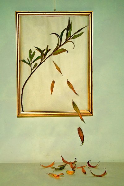  av Codruta Georgescu
