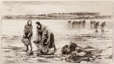 Musselsamlarna av Colin Hunter