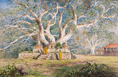Heiliger Bo-Baum am Begräbnisort der Königinnen von Kandy von Constance Frederica Gordon-Cumming