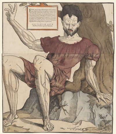 swedish av Cornelis Anthonisz.