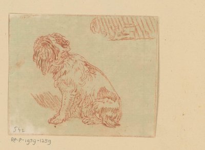 sittande hund av Cornelis Brouwer (possibly)