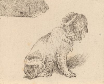 Sittande hund, 1777. av Cornelis Brouwer