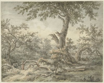 skogslandskap av Cornelis Buys
