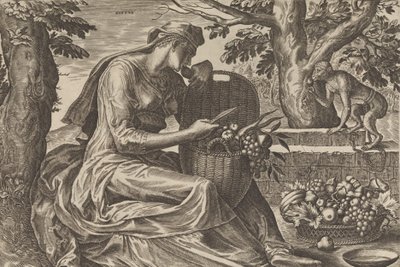 Smak, från The Five Senses, 1561. av Cornelis Cort