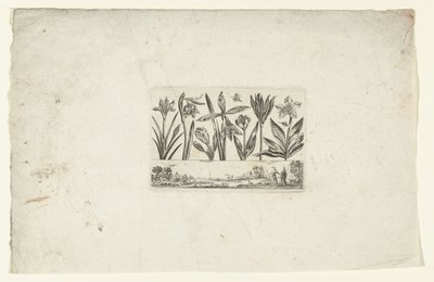 Rad av blommor över landskapet Blommor och landskap (serietitel) av Cornelis Danckerts (I)