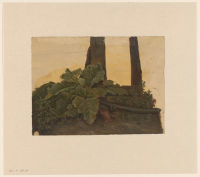 Plantera vid basen av en trädstam av Cornelis Johannes de Vogel