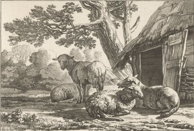 fårfålla av Cornelis Ploos van Amstel (signed by artist)