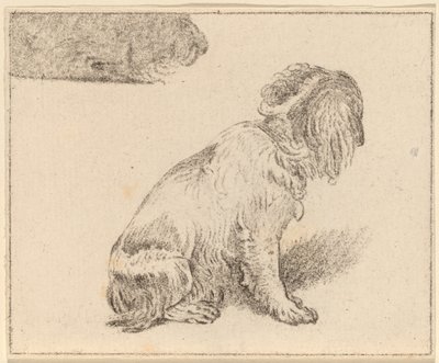 Sittande hund av Cornelis Ploos van Amstel