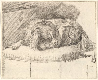 Sovande hund, 1777. av Cornelis Ploos van Amstel