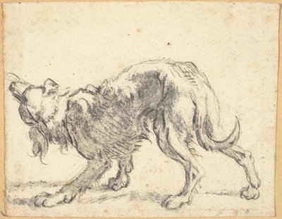 En hund av Cornelis Saftleven