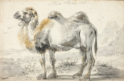 En kamel av Cornelis Saftleven
